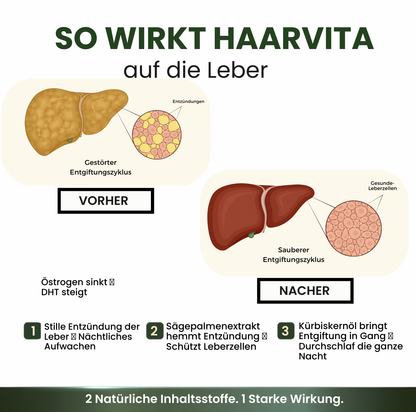 NaturaPlus™️ LeberEssenz